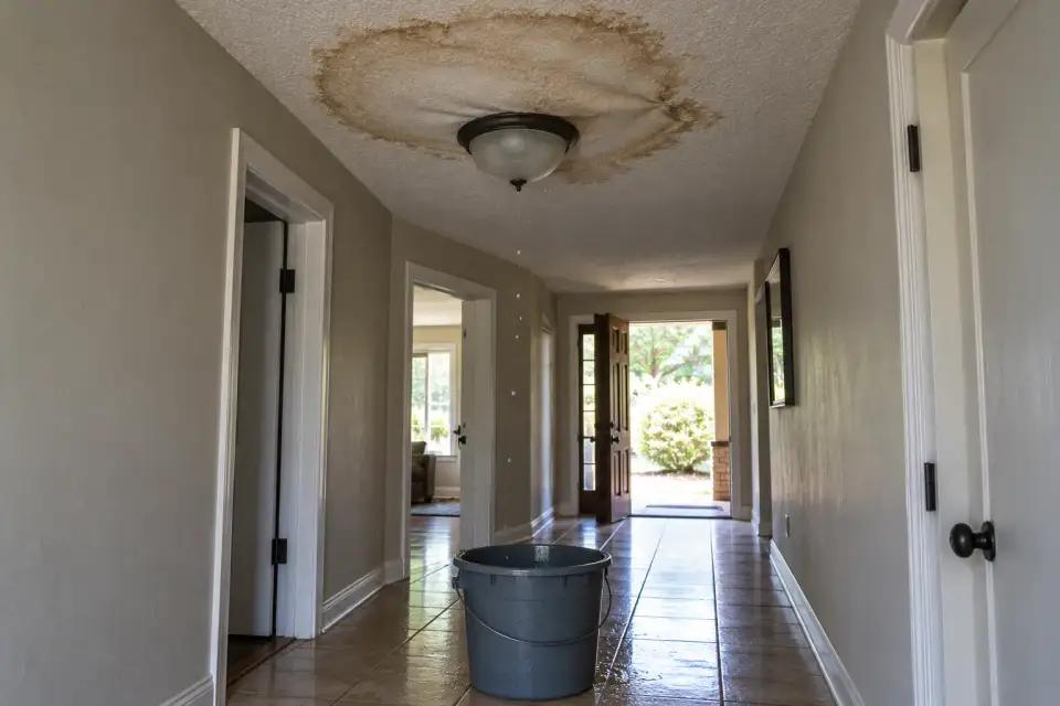 A stained, sagging hallway ceiling with a bucket on the floor catching drips